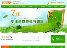 广州荣兴草场-专业草坪种植基地