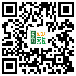 索拉润滑油